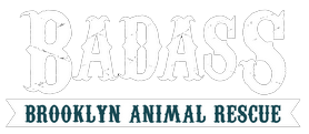 Badass Brooklyn Animal Rescue