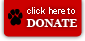 click here to donate