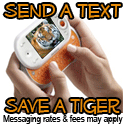 LIger Tiger Text