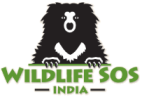 Welcome to Wildlife SOS